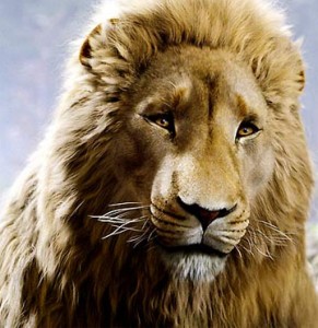aslan.jpg Aslan