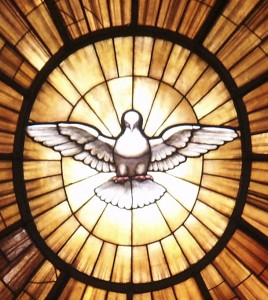 st-peter-altar-dove