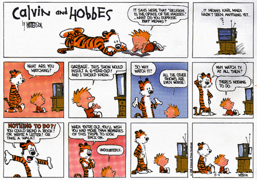 Calvin and Hobbes 01