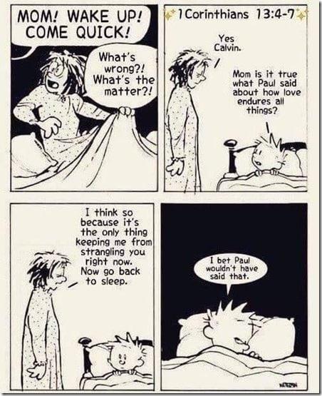 calvin hobbes love mom