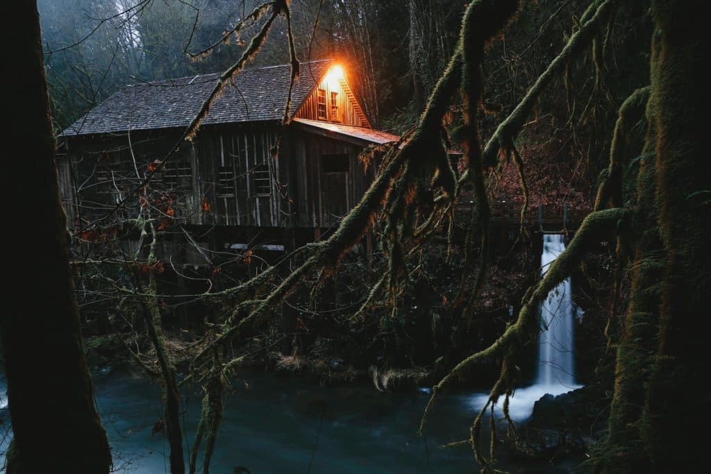 wooden house near pond in forest